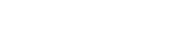 white-logo-ivs